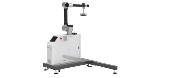 Robotyczne paletowanie WP-20 Chiński robot przemysłowy z 30 kg dostawcy rozwiązań